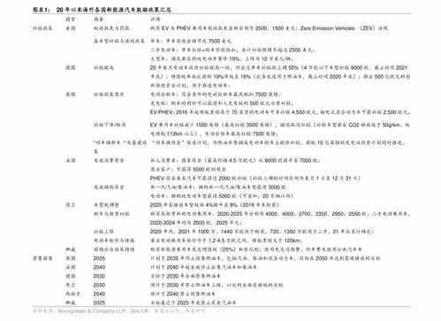 北京新媒体运营公司与软件公司综合指南